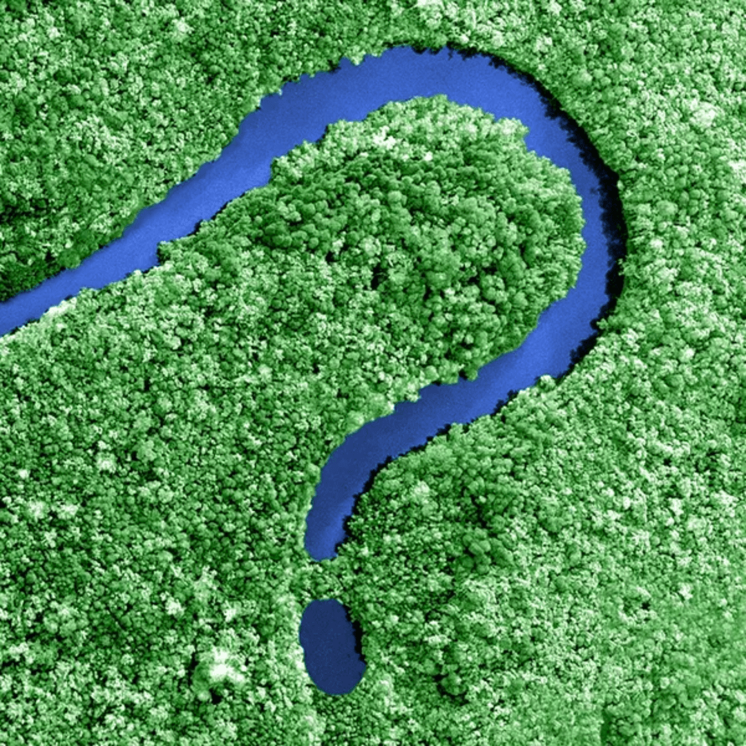 Mystery Tour cover photo